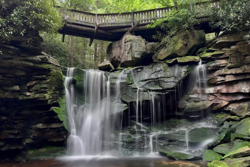 Blackwater Falls State Park Guide: Trails & Top Sights View from the base of Elakala Falls, showing water cascading over moss-covered rocks."