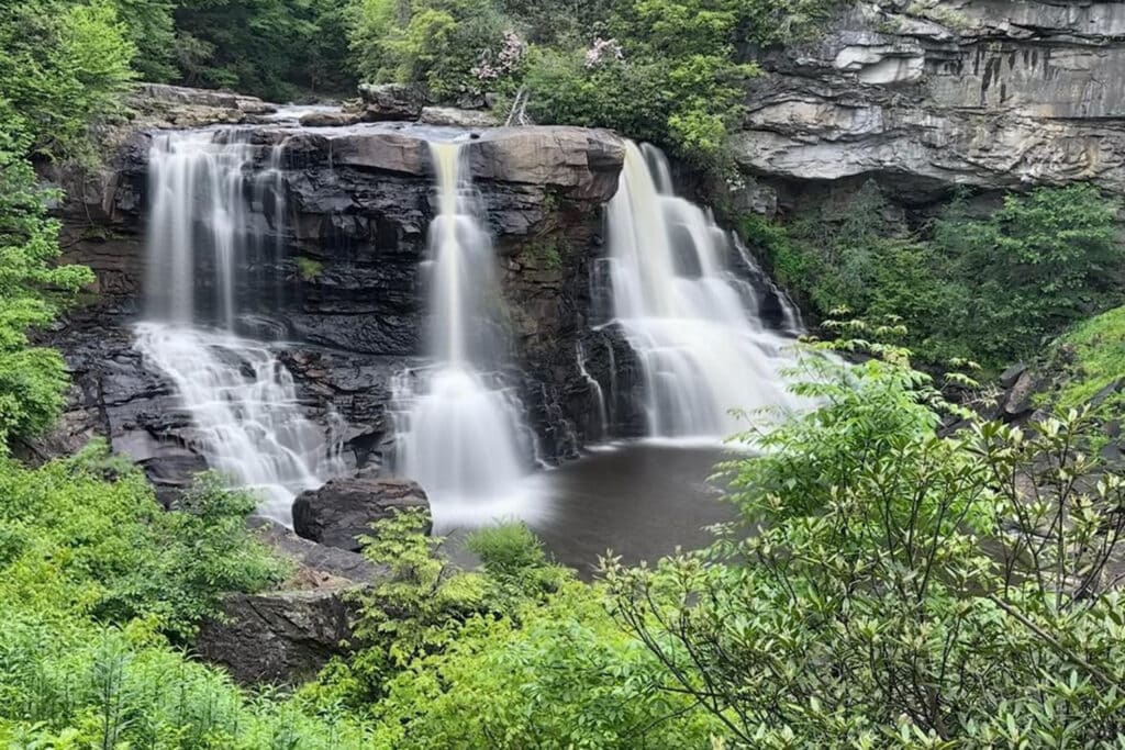 Blackwater Falls State Park Guide: Trails & Top Sights Blackwater Falls cascading over rocks surrounded by lush greenery in Blackwater Falls State Park, West Virginia.