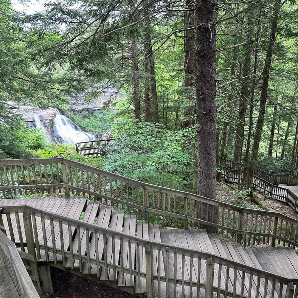 Blackwater Falls State Park Guide: Trails & Top Sights A view of the boardwalk stairs heading down to Blackwater Falls. You can see a view of Blackwater Falls in the distance.