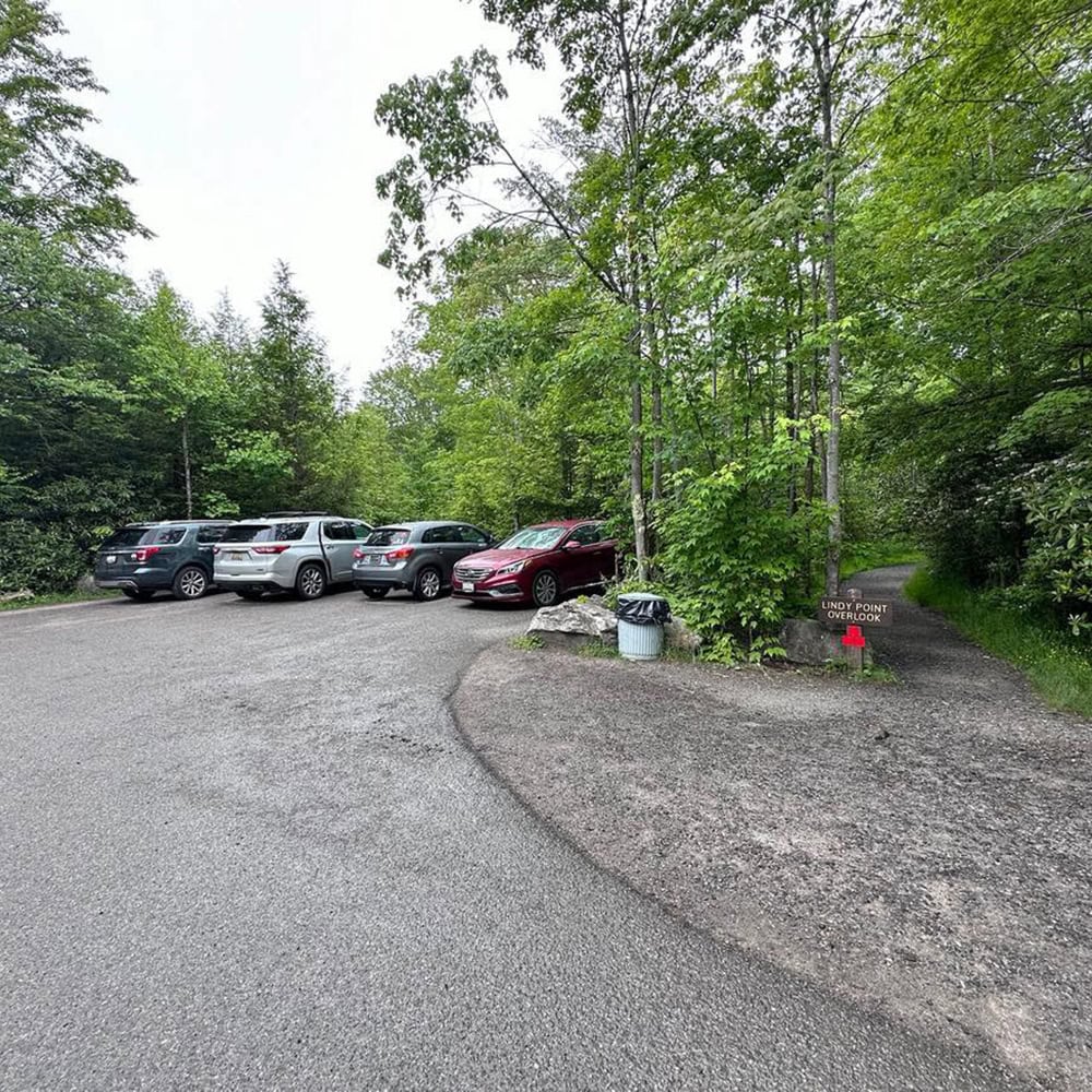 Blackwater Falls State Park Guide: Trails & Top Sights Parking lot at Lindy Point trailhead in Blackwater Falls State Park, West Virginia.
