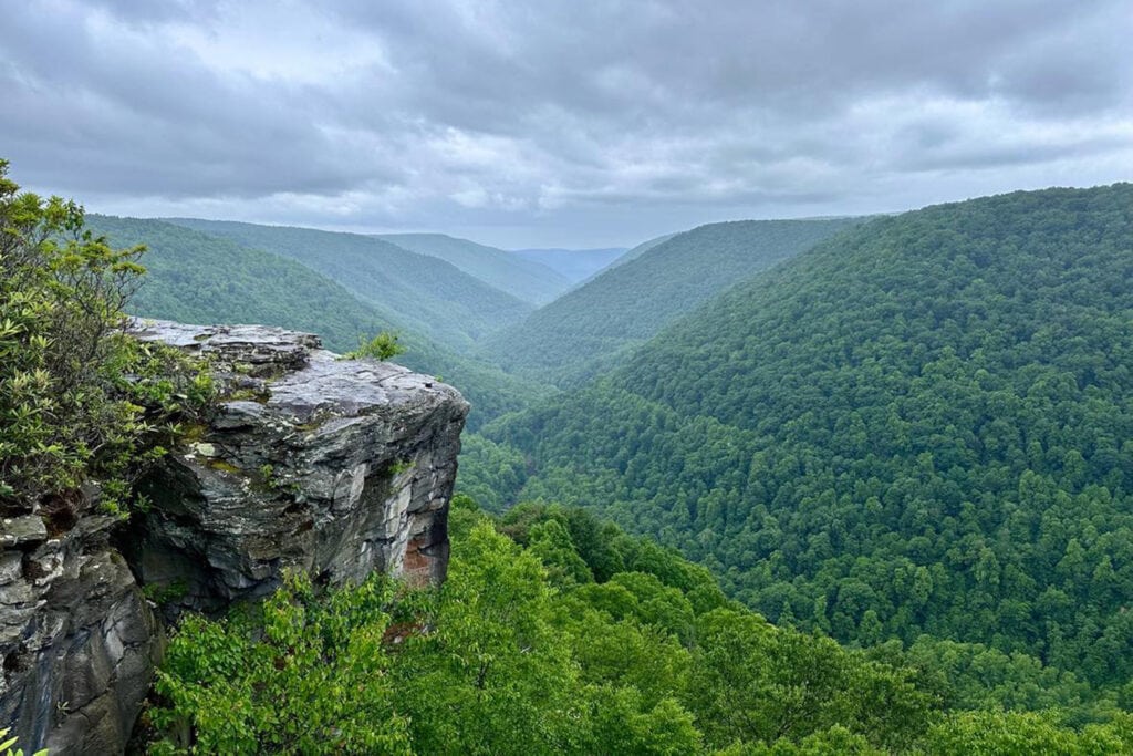 Blackwater Falls State Park Guide: Trails & Top Sights Scenic viewpoint from Lindy Point overlooking Blackwater Canyon in West Virginia.