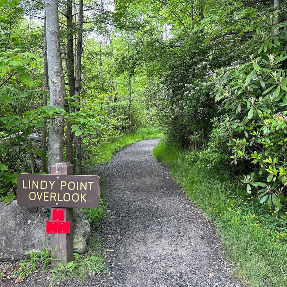 Blackwater Falls State Park Guide: Trails & Top Sights Lindy Point trailhead sign marking the start of the trail in Blackwater Falls State Park.