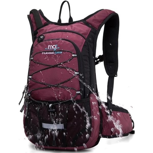 Homepage hydration backpack