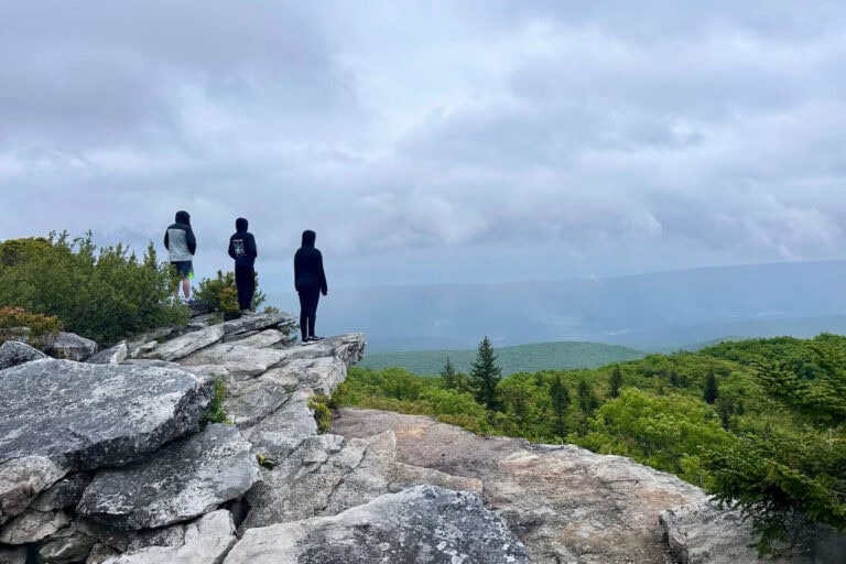 View from Bear Rocks Preserve on a West Virginia road trip from Michigan