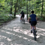 Family biking a wooded trail — part of our summer bucket list adventure.