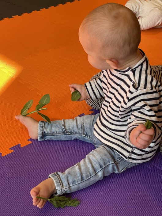 DF7510E3-8309-406F-A174-0B0A294905AF_1_201_a df7510e3 8309 406f a174 0b0a294905af 1 201 a