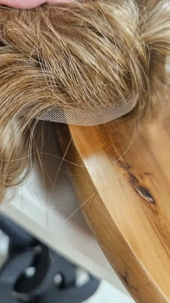 1000018878 698515216acec3.19317082