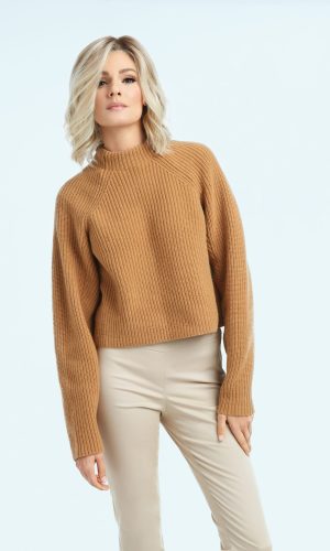 RW Simmer Model Front 1