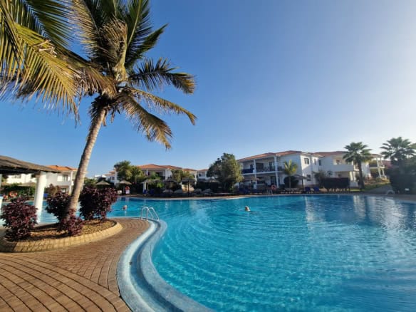 Crystal Blue Hotel Pool with Palm Tree