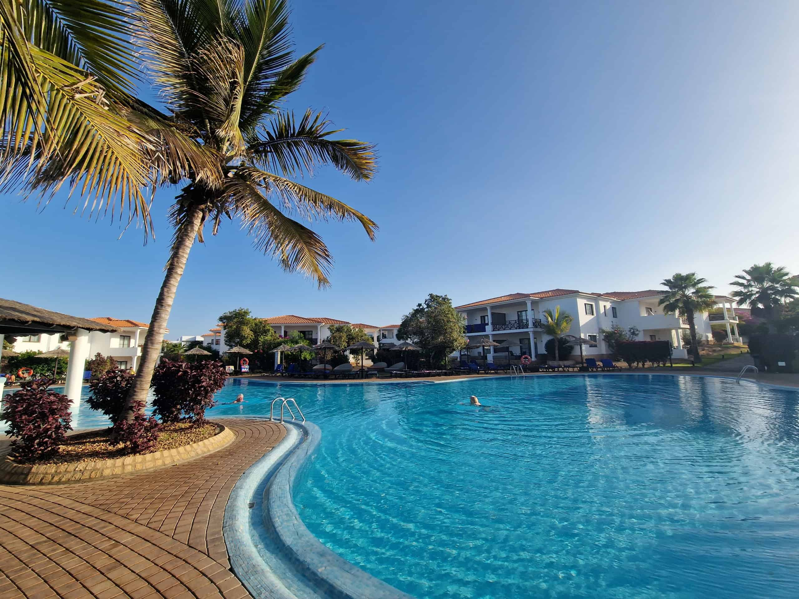 Crystal Blue Hotel Pool with Palm Tree