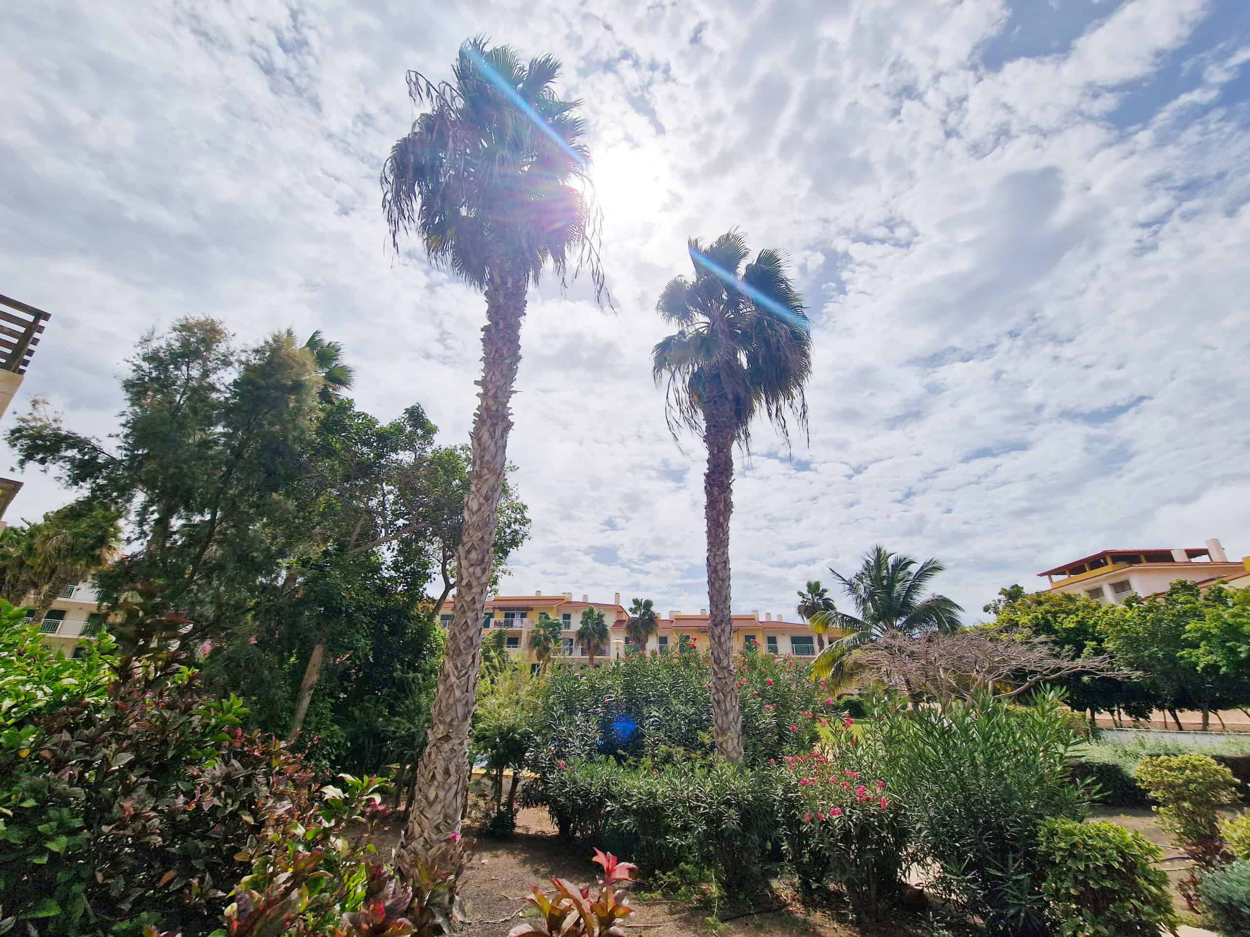 Communal Gardens - 2 Bed Poolside Apartment for Sale: Atriplex, Vila Verde, Sal, Cape Verde