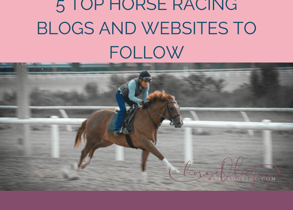 5 Top Horse Racing Blogs and Websites to Follow