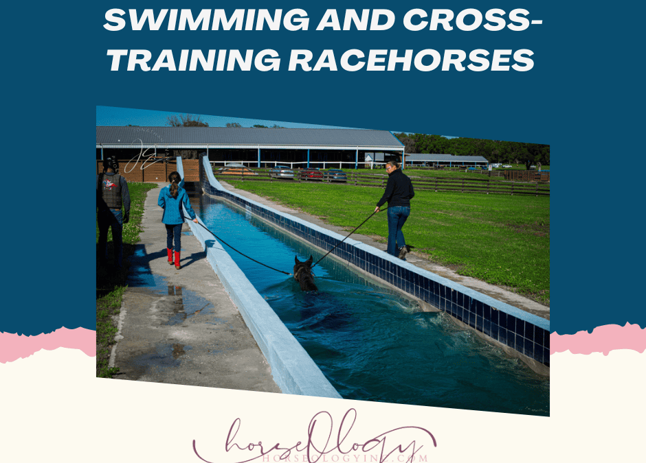 Swimming and Cross Training Racehorses