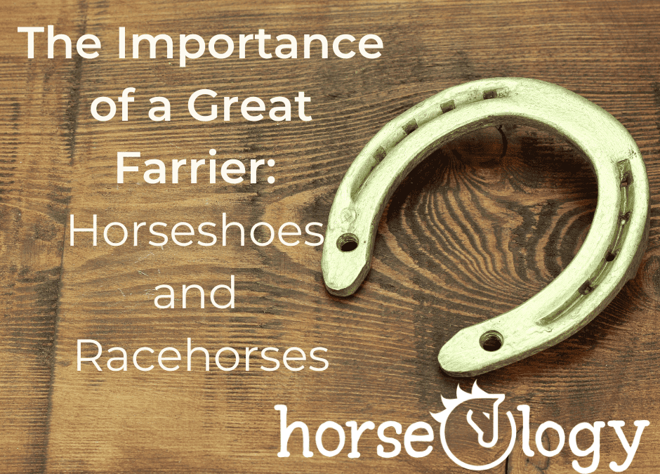 The Importance of a Great Farrier: Horseshoes and Racehorses