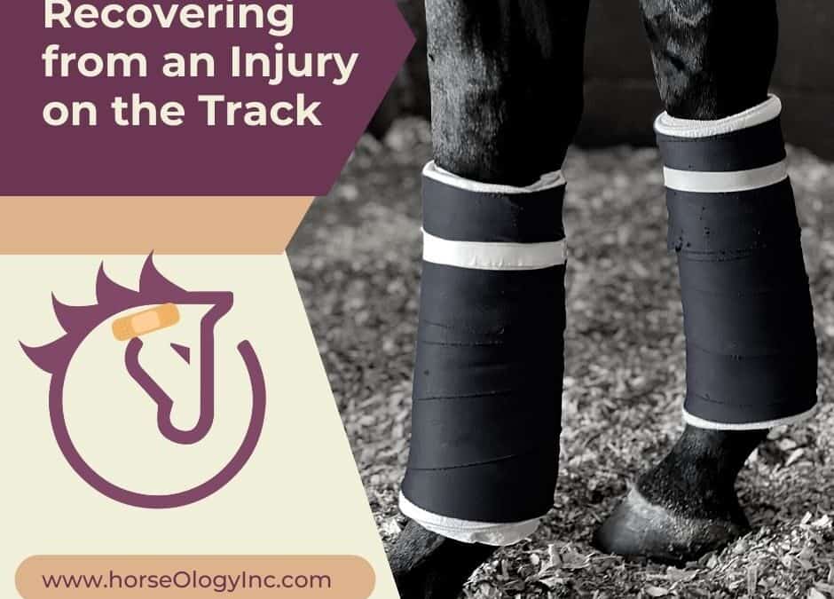 Recovering from an Injury on the Track