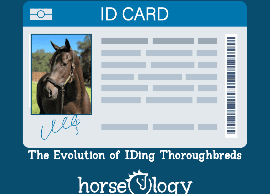 The Evolution of IDing Thoroughbreds