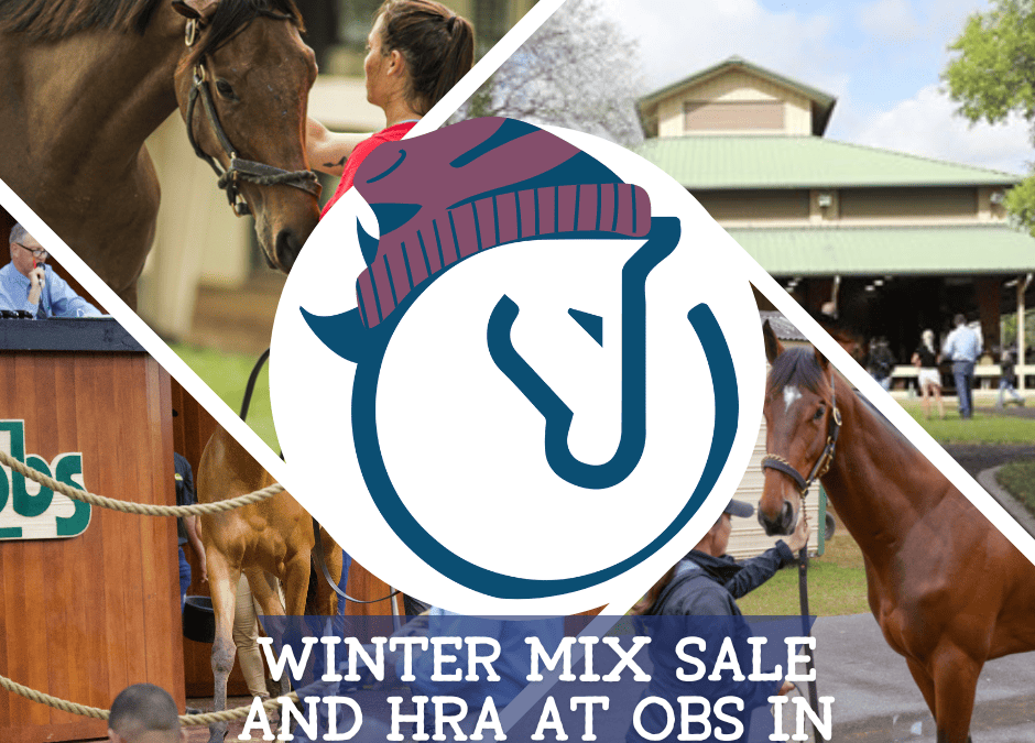 Winter Mixed Sale And HRA at OBS in Ocala