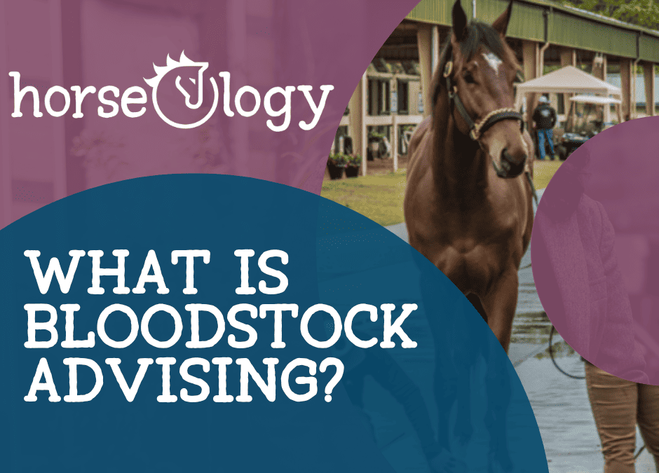 What is Bloodstock Advising?