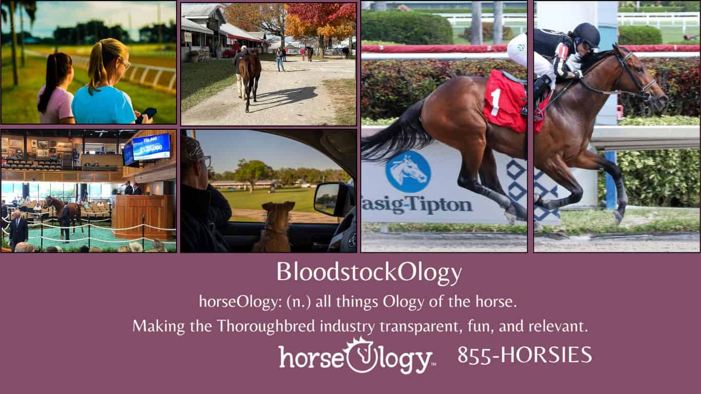 BloodstockOlogy (Website)