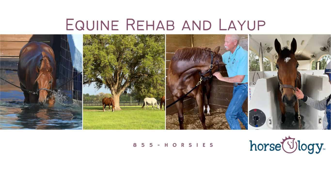 Rehab and Layup (Website)