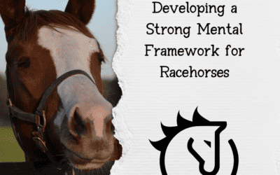 Mind Matters: Developing a Strong Mental Framework in Racehorses