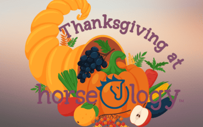 Thanksgiving at horseOlogy: Thankful for Our New 22s!