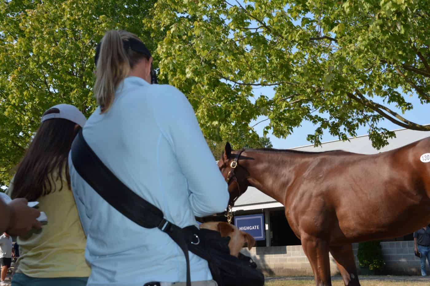 horseology 22