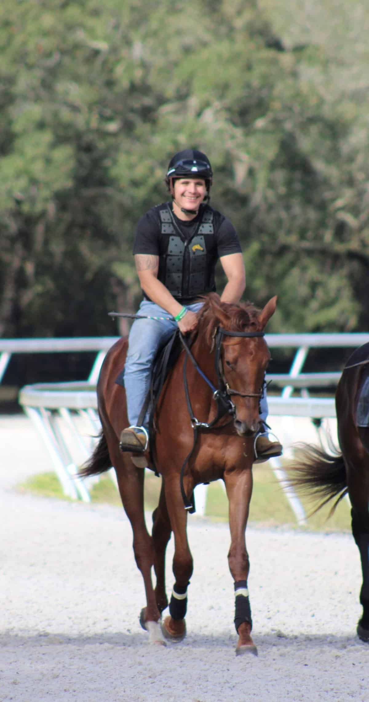 HorseOlogy