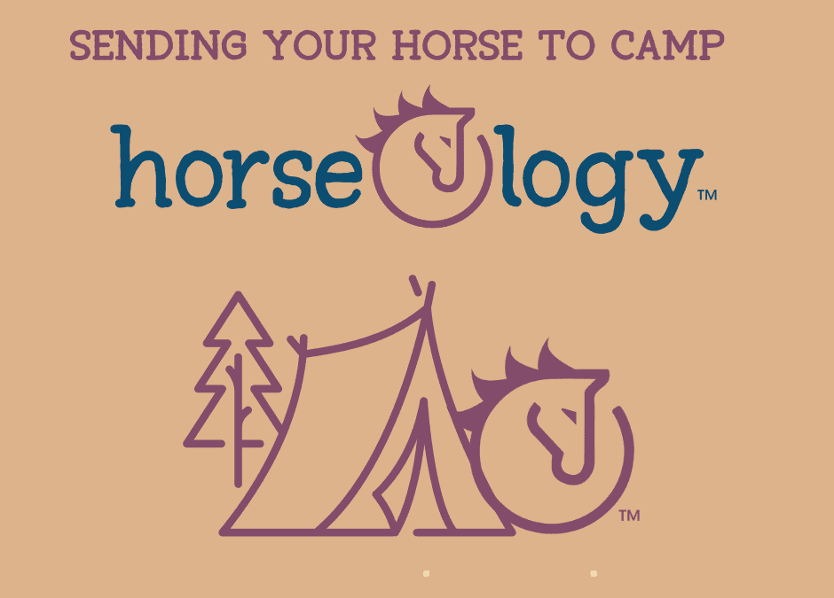 Sending Your New Horses to Camp at horseOlogy
