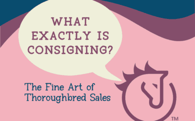 What Exactly is Consigning? The Fine Art of Thoroughbred Sales