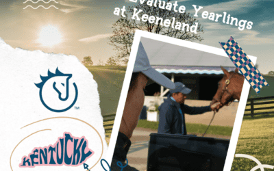 How We Evaluate Yearlings at the Keeneland Sale: A Guide for Aspiring Pinhookers