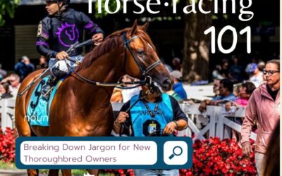 Horseracing 101: Breaking Down the Jargon for New Thoroughbred Owners