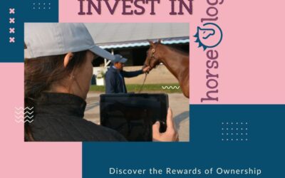 Invest in horseOlogy: Discover the Rewards of Ownership