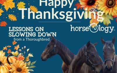 Lessons in Slowing Down from a Thoroughbred