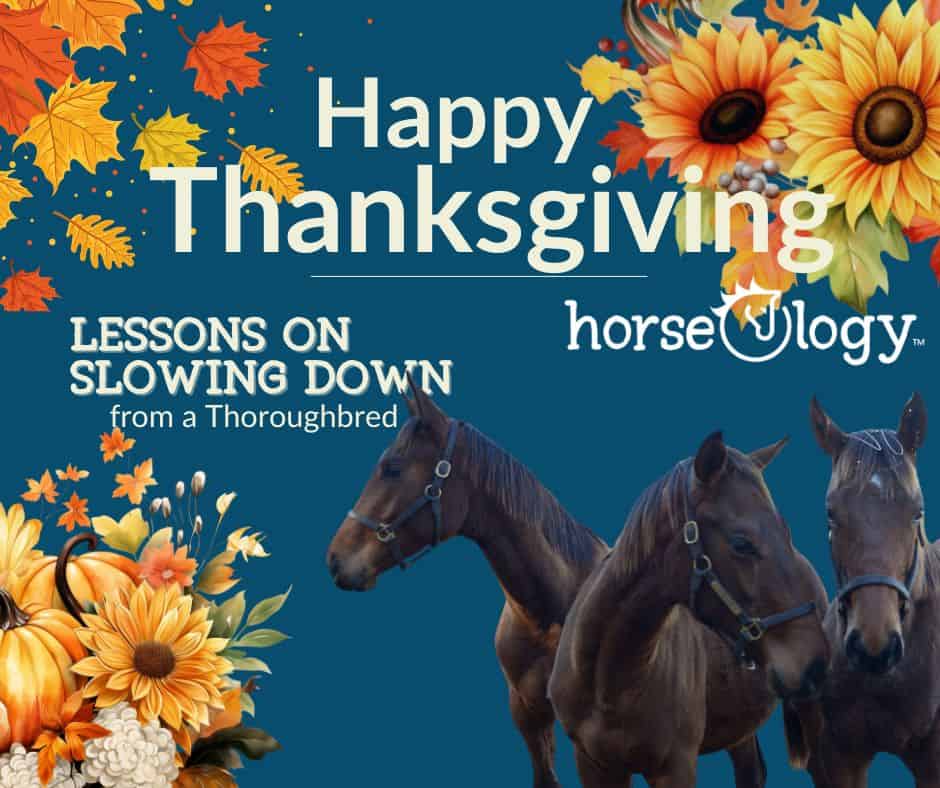 Lessons in Slowing Down from a Thoroughbred