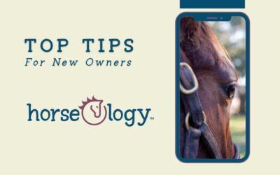 Top Tips for New Owners: Navigating Your First Year with horseOlogy