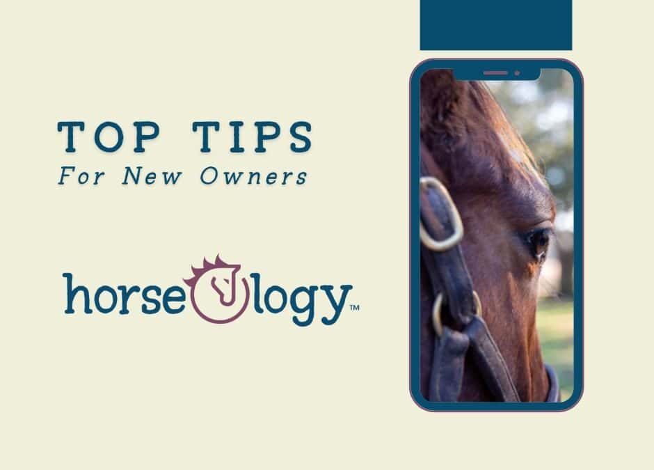 Top Tips for New Owners: Navigating Your First Year with horseOlogy