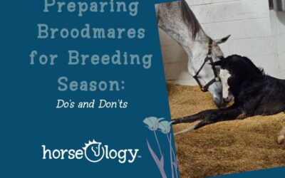 Preparing Broodmares for Breeding Season: Do’s and Don’ts