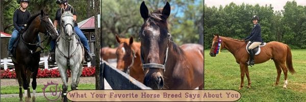 What Your Favorite Horse Breed Says About You