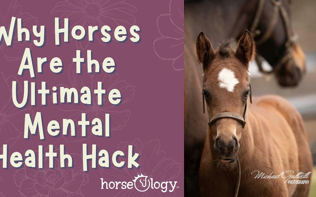 Why Horses Are the Ultimate Mental Health Hack