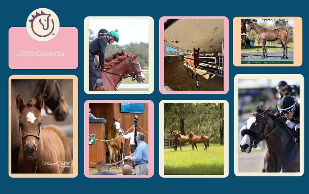 Understanding the Thoroughbred Sales Calendar