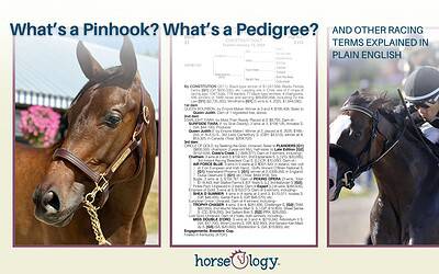 Plain English Guide to the Thoroughbred World