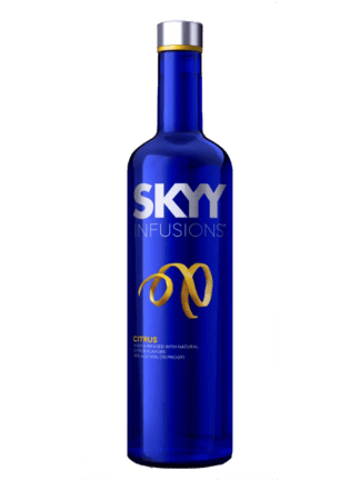 【非売品】SKYY VODKA ネオン Skyy Vodka Neon Sign – Neon Factory