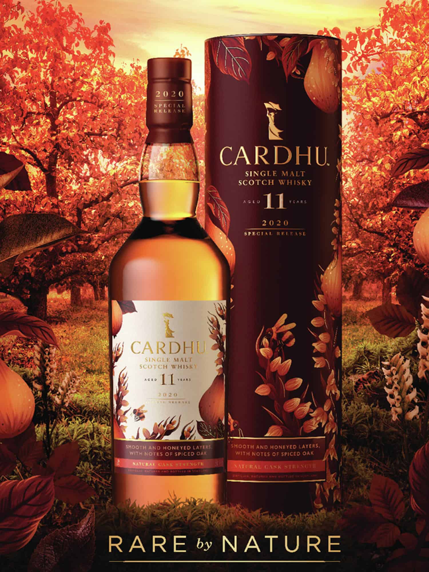 Cardhu 11 Year Old 2020 Special Release Speyside Single Malt Scotch Whisky 70cl - Image 2