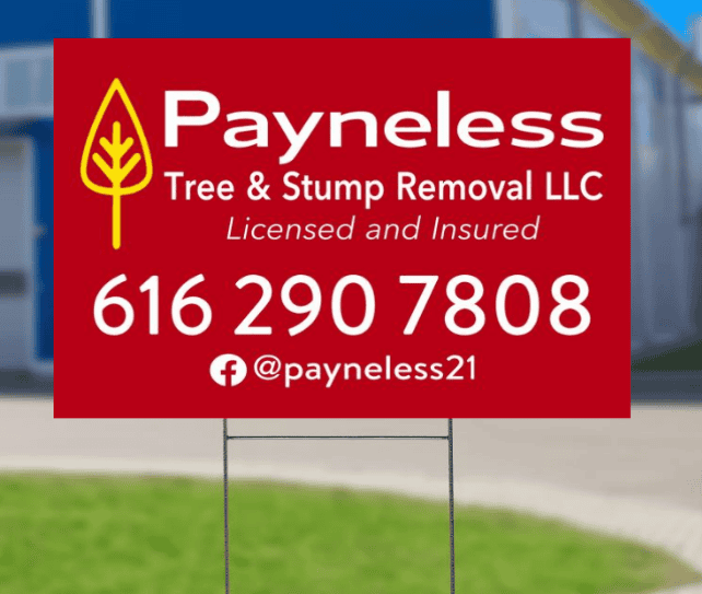 Product Gallery 2 ys a