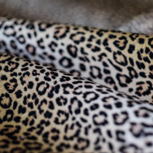 Do Ya Think I’m Sexy Fabric