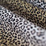 Do Ya Think I’m Sexy Fabric – image 4