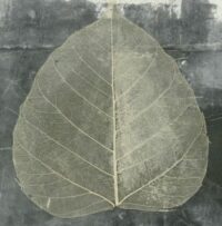 Wabi-Sabi Abstract Leaves, File ID 26611654, Elena Ray Microstock Library © Elena Ray, https://www.dreamstime.com/elenaray_info
