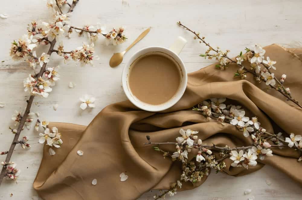 A cup of coffee surrounded by flowering cherry branches