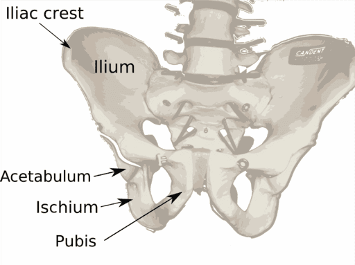 Hip Fracture Settlements Surgery Florida Miami Car Accidents
